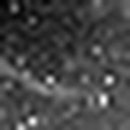 1561660289_1 @ 3.0969 µm