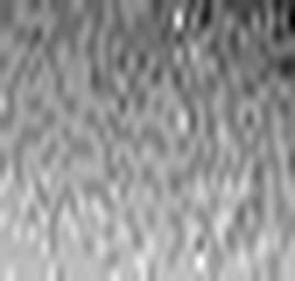 1561669862_1 @ 3.0969 µm