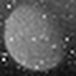 1561673451_1 @ 3.0969 µm