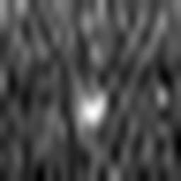 1563889435_1 @ 3.0969 µm