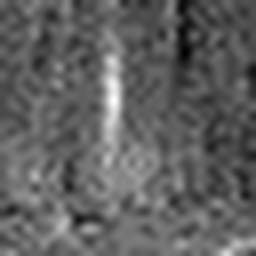 1567129824_1 @ 3.0969 µm