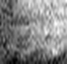 1567130788_1 @ 3.0969 µm