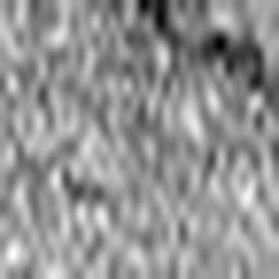 1567133502_1 @ 3.0969 µm