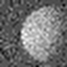 1567092700_1 @ 3.0969 µm