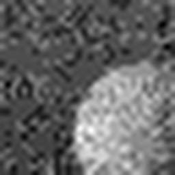 1567093278_1 @ 3.0969 µm