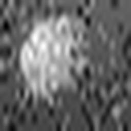 1569849285_1 @ 3.0969 µm