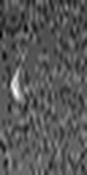 1573890804_1 @ 3.0969 µm