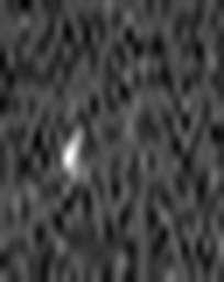 1584876653_1 @ 3.0969 µm