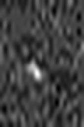 1597233569_1 @ 3.0969 µm