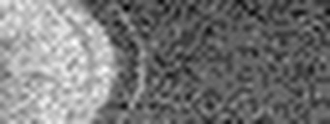 1603253924_1 @ 3.0969 µm