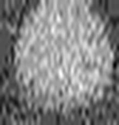 1634216260_1 @ 3.0969 µm