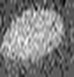 1634216514_1 @ 3.0969 µm