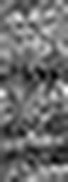 1634544457_1 @ 3.0969 µm