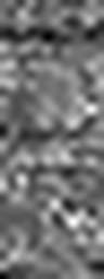 1634545405_1 @ 3.0969 µm