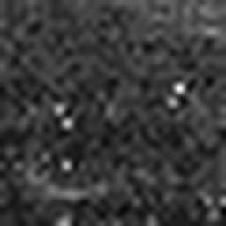 1637457718_1 @ 3.0969 µm