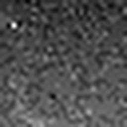 1637458820_1 @ 3.0969 µm