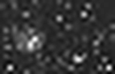 1637480996_1 @ 3.0969 µm