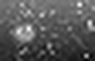 1637482108_1 @ 3.0969 µm