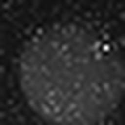 1644780565_1 @ 3.0969 µm