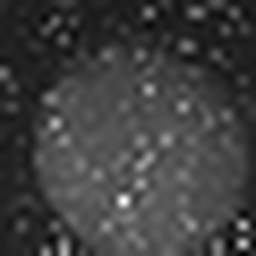 1644780761_1 @ 3.0969 µm