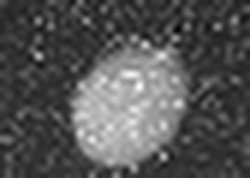 1644782340_1 @ 3.0969 µm