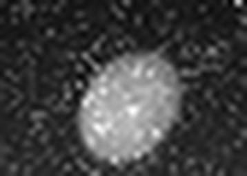 1644783068_1 @ 3.0969 µm