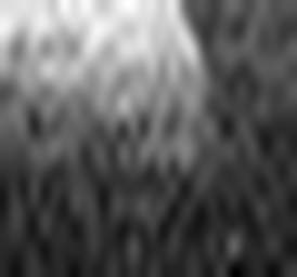 1662198329_1 @ 3.0969 µm