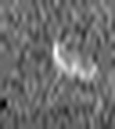 1669601581_1 @ 3.0969 µm