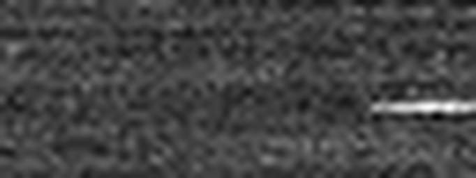 1674354265_1 @ 3.0969 µm