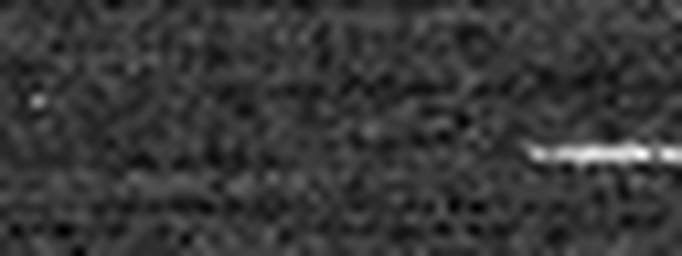 1674360509_1 @ 3.0969 µm