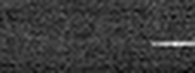 1674362591_1 @ 3.0969 µm