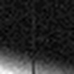 1696077525_1 @ 3.0969 µm