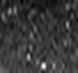 1713138897_1 @ 3.0969 µm