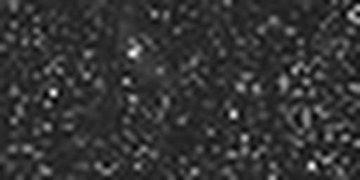 1717567622_1 @ 3.0969 µm