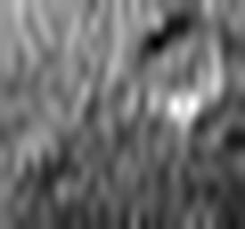 1734909830_1 @ 3.0969 µm