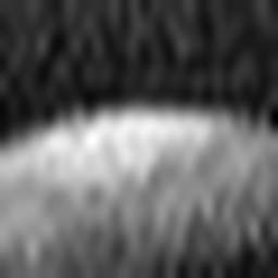 1816650405_1 @ 3.0969 µm