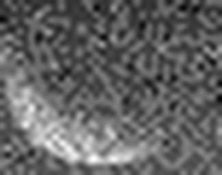 1820424480_1 @ 3.0969 µm