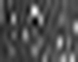 1831462424_1 @ 3.0969 µm