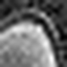 1834751942_1 @ 3.0969 µm