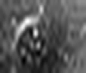 1511785252_1 @ 3.4487 µm