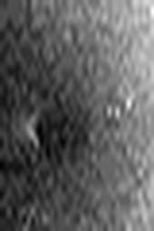 1511799464_1 @ 3.4487 µm