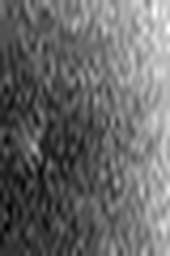 1511799891_1 @ 3.4487 µm