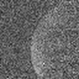 1520509273_1 @ 3.4487 µm