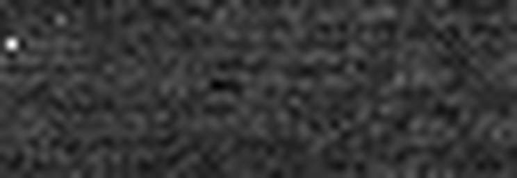 1559216186_1 @ 3.4487 µm