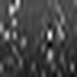 1558918637_1 @ 3.4487 µm