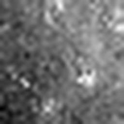 1568129461_1 @ 3.4487 µm