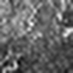 1568132282_1 @ 3.4487 µm