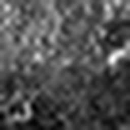 1568132626_1 @ 3.4487 µm