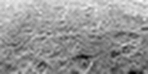 1567128296_1 @ 3.4487 µm