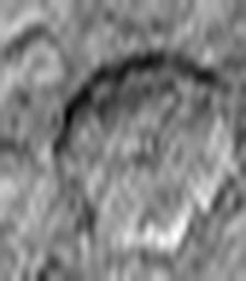 1567130219_1 @ 3.4487 µm